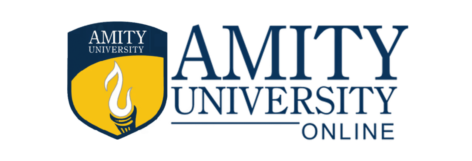 Amity University